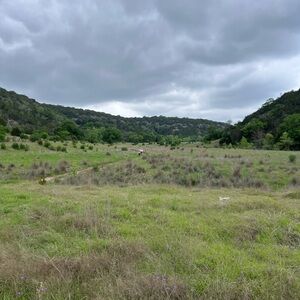 Meet your Posher, Parker